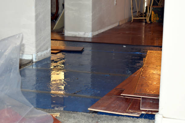 Professional Burst Pipe Cleanup technician working in Greenwich, CT